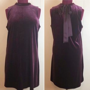 Ann Taylor Purple Velvet Midi Dress